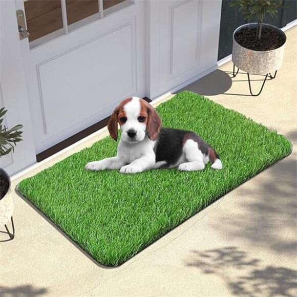 Artificial Grass Door Mat, 30 X 18 Inches Artificial Grass for Dogs - Picture 7 of 7